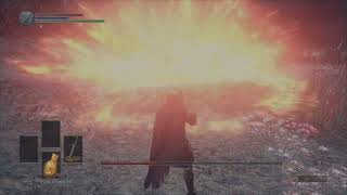 Comment battre l ame des cendres Dark souls 3 [upl. by Taffy]