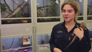 Animal Management at Bridgwater amp Taunton College [upl. by Alexine298]