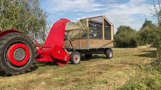 MF 740 Forage Harvester at Work [upl. by Ferullo442]