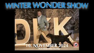 DKKs Winter Wonder Show 2024  Danish Winner [upl. by Aiekahs487]