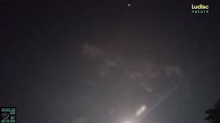 November Orionids meteor shower live from Blitar Indonesia [upl. by Yllak]