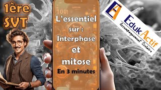 Lessentiel sur linterphase et la mitose en 3 minutes  Première spécialité SVT mitose svt [upl. by Jamnis]