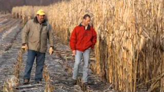 StollerUSA  Enhanced corn yields with BioForge® [upl. by Nydnarb]