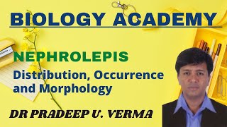 Nephrolepis ClassificationDistribution Occurence and External Morpholohy [upl. by Deland]