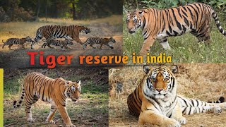 finally India largest zoo dekh liye 😄❤️MMvlogs2024video trending [upl. by Marek]