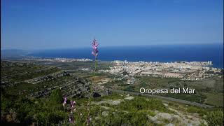 Oropesa del Mar Castellon Spanien [upl. by Etteyafal515]