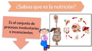 Fisiología de la Nutrición [upl. by Ydor118]