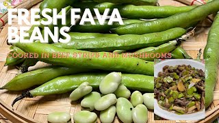 FRESH FAVA BEANS RECIPE [upl. by Ermeena]