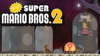 FINAL Newer Super Mario Bros2 48 Walkthrough 100 [upl. by Hertz778]