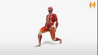 Exercise Videos Forward Lunge [upl. by Drogin]