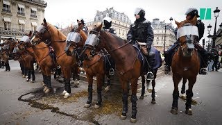 À Paris des policiers à cheval ont encadré les gilets jaunes [upl. by Juster235]