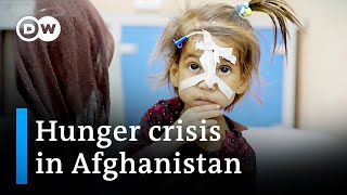 Afghanistan is facing a severe hunger crisis  DW News [upl. by Fulbert954]