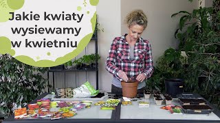 Jakie kwiaty wysiewamy w kwietniu [upl. by Eseilenna]