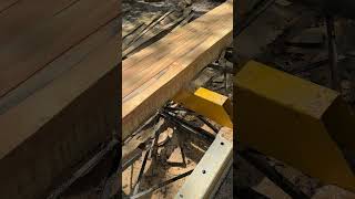 Loblolly Pine makes 2x4s for interior shed walls sawmill pine wood [upl. by Nomyaw]