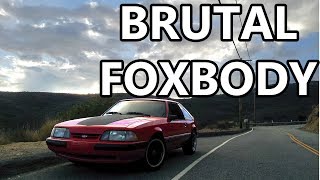 BRUTAL Foxbody Mustang attacks canyon  Drive Journal [upl. by Michelsen888]