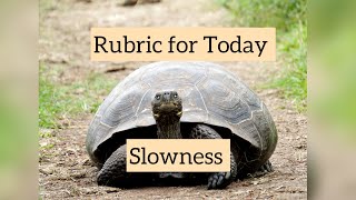 Rubric for Today  Slowness  Dr Neelam Avtar Singh [upl. by Anyg]