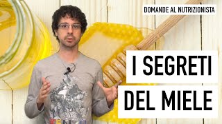 I segreti del miele e il fascino antico dellidromele [upl. by Anyaj]