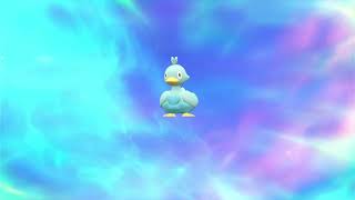 How to Evolve Ducklett into Swanna in Pokemon Scarlet amp Violet DLC [upl. by Barbara-Anne]