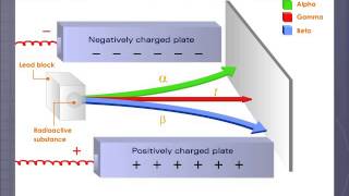 Alpha Beta and Gamma Radiations [upl. by Gnak]