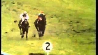 Monksfield The 1979 Champion Hurdle Cheltenham [upl. by Ennire]