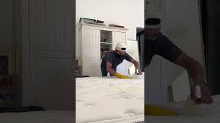 🧼 Professional Mattress Cleaning [upl. by Attekram]