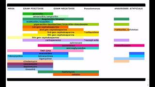 Antibiotic Coverage Made Easy  USMLE  COMLEX [upl. by Dedra]