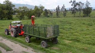 COSECHADORA DE FORRAJES  FIMAKS  RF132  Instalación Gachanzipa🇨🇴  Maquinaria Agrícola [upl. by Tobiah]