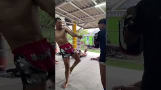 “Insane Muay Thai Speed Kicks Fastest Strikes Ever Seen ⚡🥊 MuayThai SpeedKicks kickboxing quot [upl. by Aremus69]