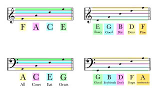 How To Read Notes On The Staff  EASY  Music Theory Tutorial [upl. by Adrahs]