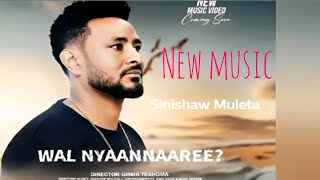 sinishaw muleta nw music [upl. by Besse113]