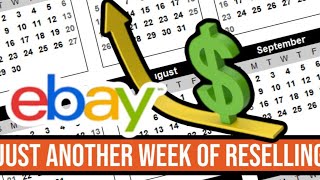 Episode 1 Reseller Weekly Diary Ebay returns are not very demure [upl. by Dnyletak]