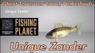 Fishing Planet  Unique Zander  GhentTerneuzen Canal Netherlands  Fishing Guide [upl. by Karlow]