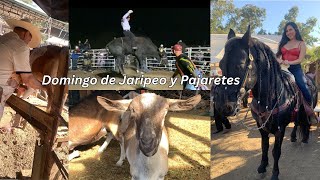 Domingo de JARIPEO y PAJARETES con BANDA  VLOG [upl. by Arriek34]