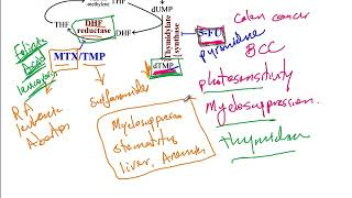 USMLE ACE Video 19 Purine and Pyrimidine Synthesis Pathway Purine Salvage pathway and Urea cycle [upl. by Kela433]