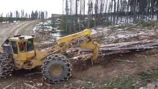 tigercat skidder 002 [upl. by Nosnorb178]