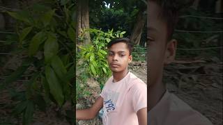 Bhaut Sare Ped Lagaye  Ft Tree Planting 🌲 minivlog vlog [upl. by Elpmet]