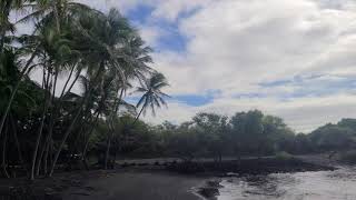 Punaluu Black Sand Beach  Hawaii [upl. by Zzabahs]