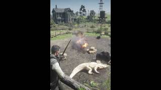 Killing Predators Saving Livestock rdr2 gameplay gameshorts [upl. by Tap]