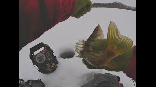 How To Find Crappies Rush Lake MN [upl. by Etteiluj]