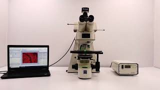 Zeiss Axioplan 2 Upright Fluorescent Microscope BOSTONIND  47730 [upl. by Grishilde]