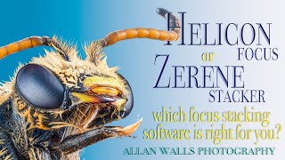 Helicon or Zerene  which focus stacking software is right for you [upl. by Einomrah]