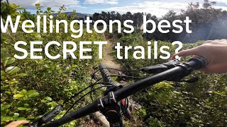 ARE THESE WELLINGTONS BEST UNSANCTIONED TRAILS  Riding with Ruben [upl. by Euqinommod]