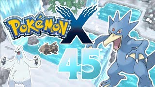 POKÉMON X 🌍 45 Die Frosthöhle [upl. by Rich314]