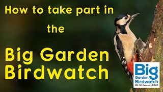 The RSPB Big Garden Birdwatch 2022  History and how to take part [upl. by Enicul]