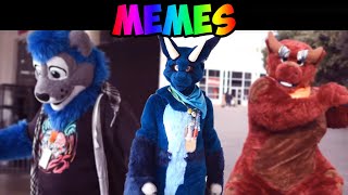 The less I know the better amp Sexy back Meme edit  Furry Version [upl. by Anayra]