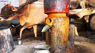 Traditional Mustard Oil Making Process [upl. by Davin780]