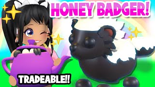 NEW HONEY BADGER PET amp NEW TRADEABLE PETS in Adopt Me roblox [upl. by Narak]