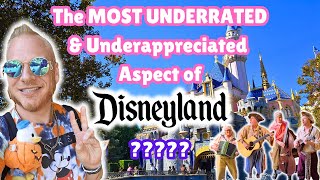 Disneylands Most UNDERRATED amp UNDERAPPRECIATED Thing Showcasing Disneys Live Entertainment [upl. by Phare]