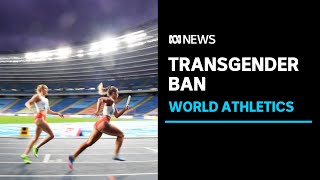 World Athletics bans transgender women from competing if they went through male puberty  ABC News [upl. by Cyb]