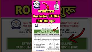 Up Paramedical Bachelor Stray Round Start  shorts abvmu [upl. by Shirl810]